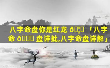 八字命盘你是红龙 🦆 「八字命 🐈 盘详批,八字命盘详解」
